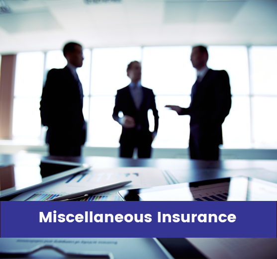 products-Miscellaneous Insurance